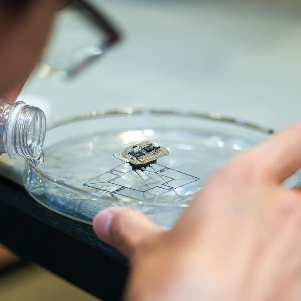 A color photo showing a man pouring water into a small dish.
