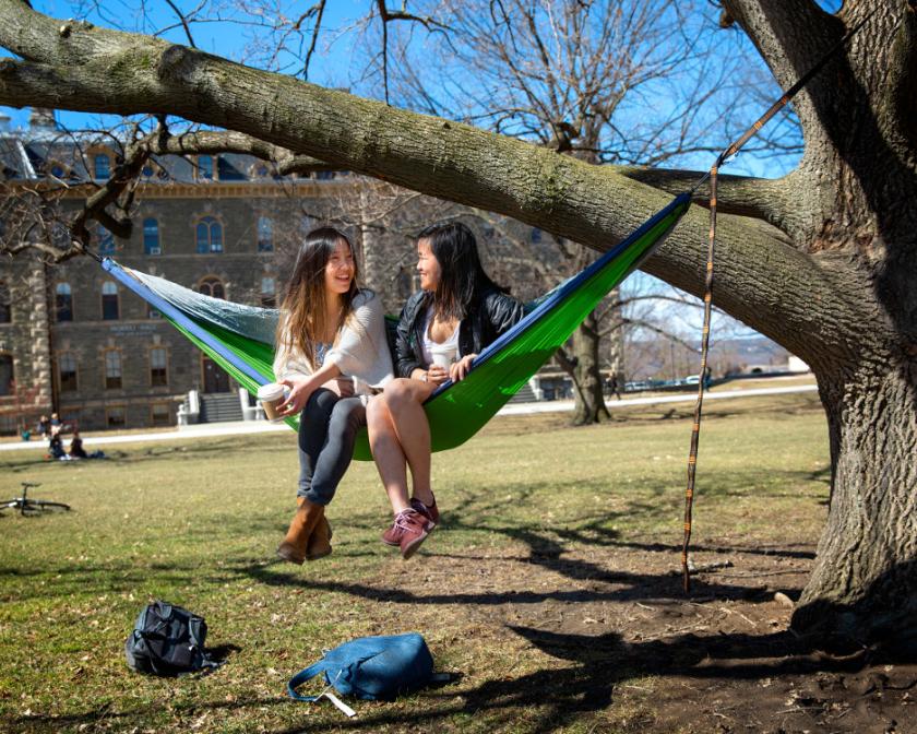 two female students sit on a hammock on a tree on a green lawn, they are taking and one is holding coffee
